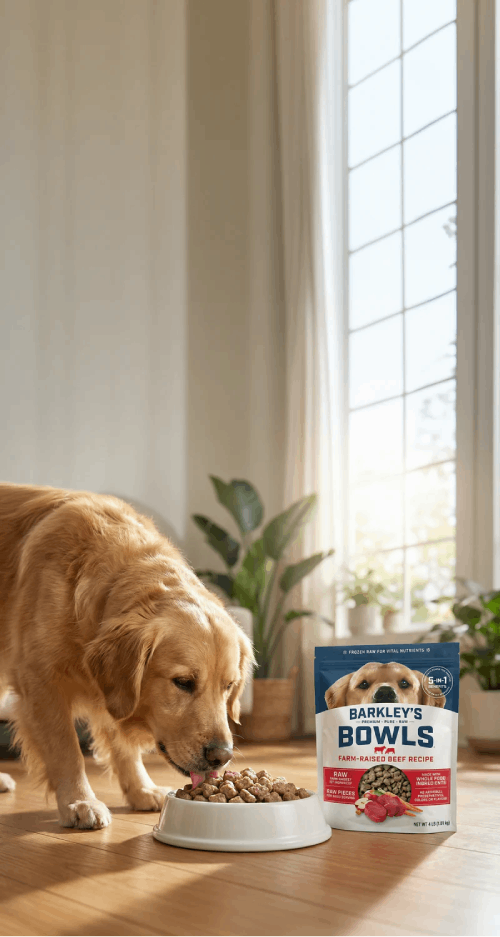 A dog eating from a Barkley's Bag bowl beside product packaging.