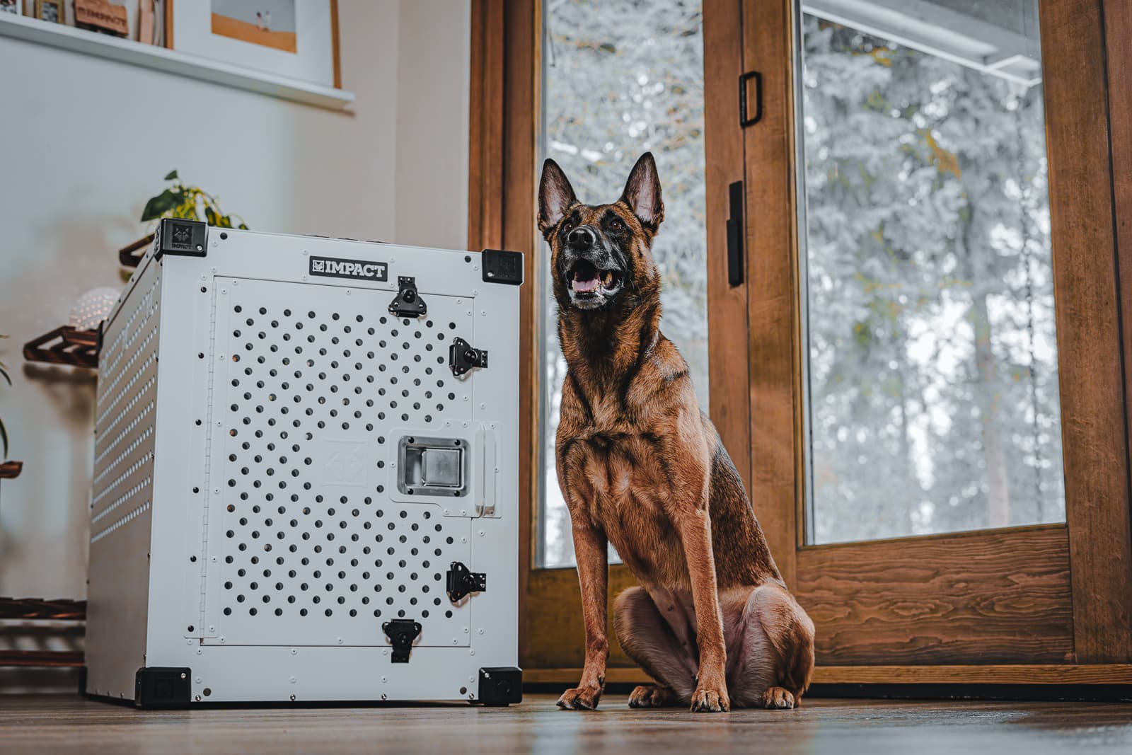 Locking people in dog crates got 2.1M views