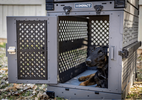 Impact Dog Crates product shown in a lifestyle environment.